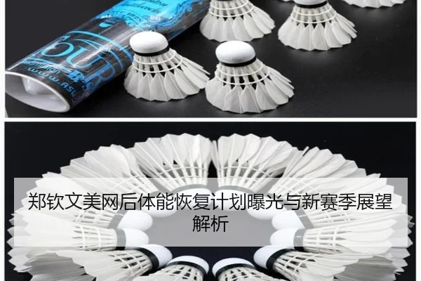 郑钦文美网后体能恢复计划曝光与新赛季展望解析 | JIUYOU